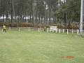 DSC01981