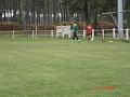 DSC01985