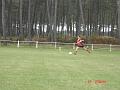DSC01986